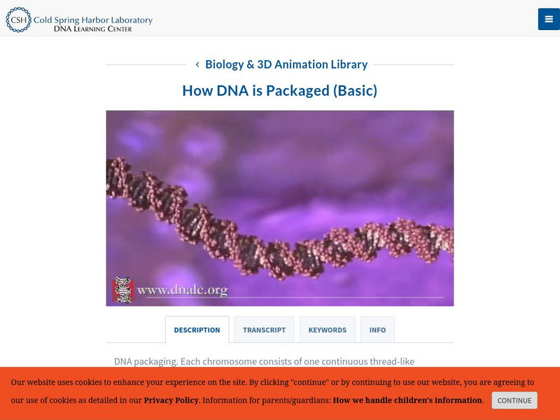 Dolan Dna Learning Center: Dna Molecule: How Dna Is Packaged Basic Interactive