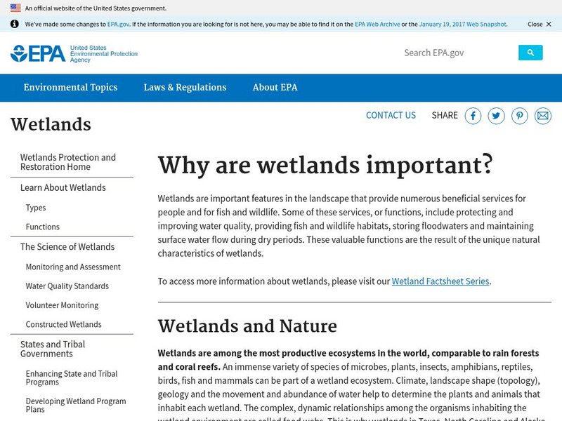 Epa: Why Are Wetlands Important? Handout Epa: Why Are Wetlands Important? Handout