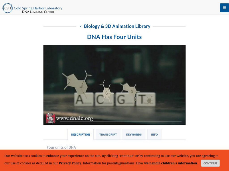 Dolan Dna Learning Center: Dna Molecule: Dna Has Four Units Interactive Dolan Dna Learning Center: Dna Molecule: Dna Has Four Units Interactive