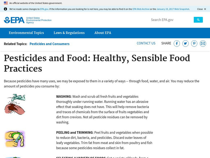Epa: Pesticides and Food: Healthy, Sensible Food Practices Handout Epa: Pesticides and Food: Healthy, Sensible Food Practices Handout