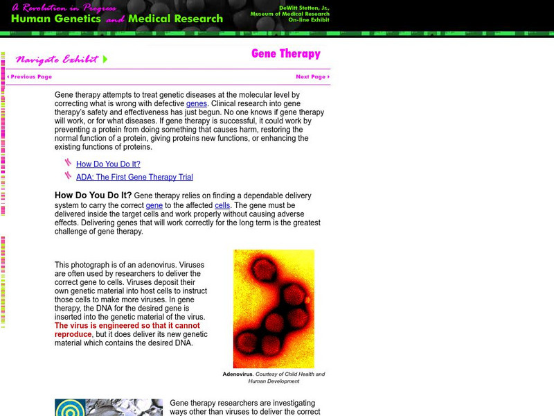 De Witt Stetten Jr. Museum of Medical Research: Gene Therapy Handout De Witt Stetten Jr. Museum of Medical Research: Gene Therapy Handout