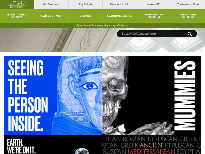 The Field Museum Website The Field Museum Website