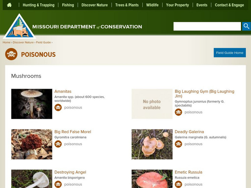 Mdc: Poisonous Mushrooms Handout Mdc: Poisonous Mushrooms Handout