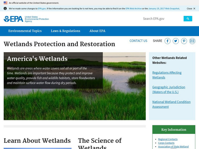 Epa:wetlands Protection and Restoration Handout Epa:wetlands Protection and Restoration Handout