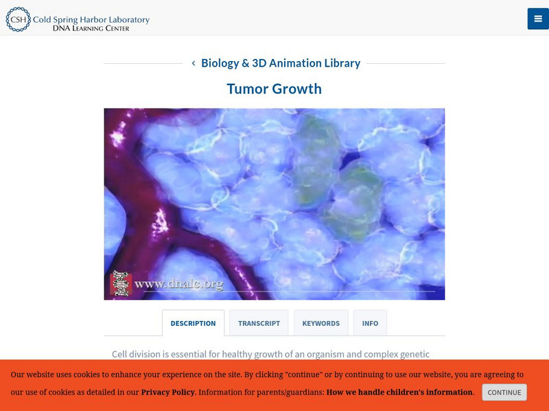 Dolan Dna Learning Center: Disease & Mutation: Tumor Growth Interactive Dolan Dna Learning Center: Disease & Mutation: Tumor Growth Interactive