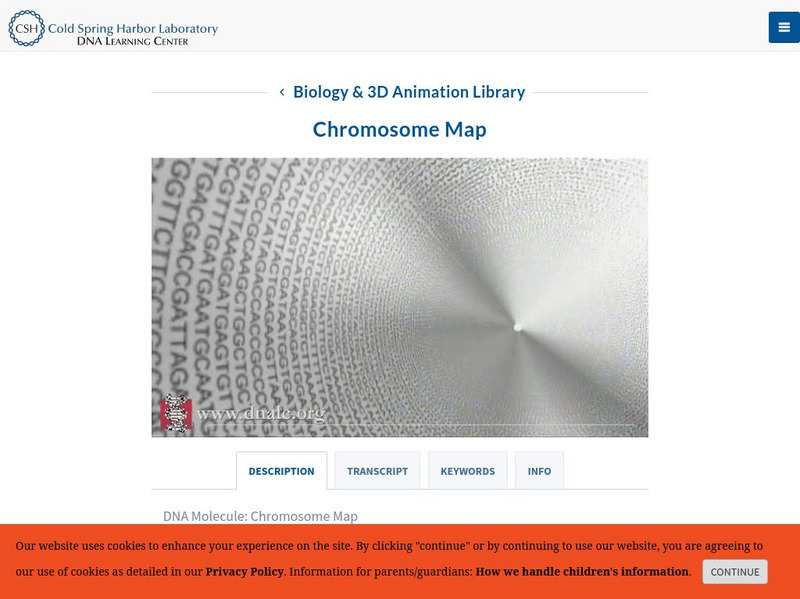 Dolan Dna Learning Center: Dna Molecule: Chromosome Map Interactive Dolan Dna Learning Center: Dna Molecule: Chromosome Map Interactive