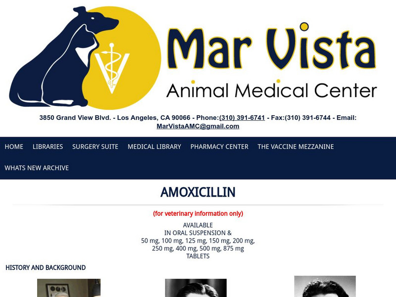 Mar Vista Animal Center: Amoxicillin Handout Mar Vista Animal Center: Amoxicillin Handout