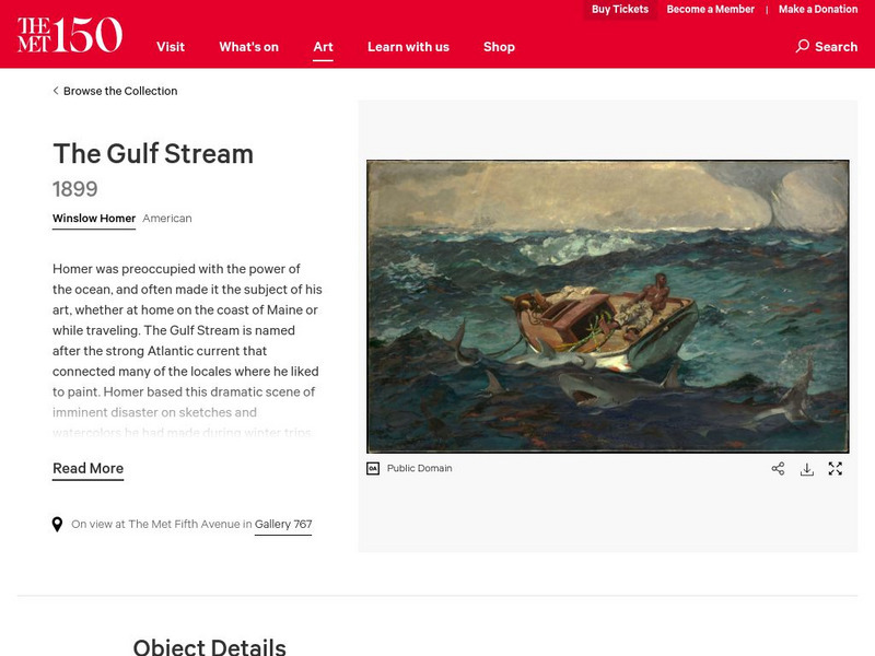 Metropolitan Museum of Art: The Gulf Stream Graphic