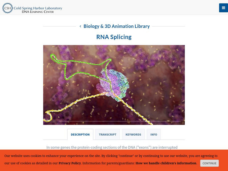Dolan Dna Learning Center: Transcription & Translation: Rna Splicing Interactive Dolan Dna Learning Center: Transcription & Translation: Rna Splicing Interactive