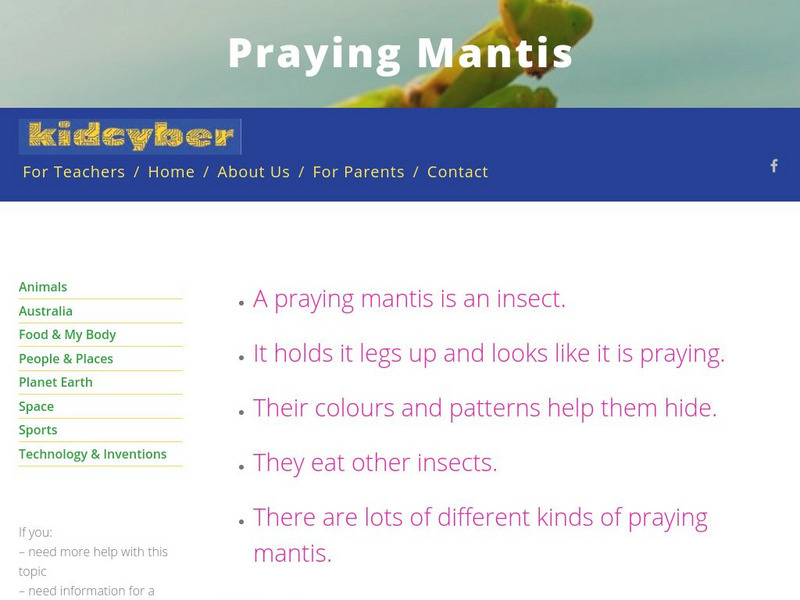 Kidcyber: Praying Mantis Handout Kidcyber: Praying Mantis Handout