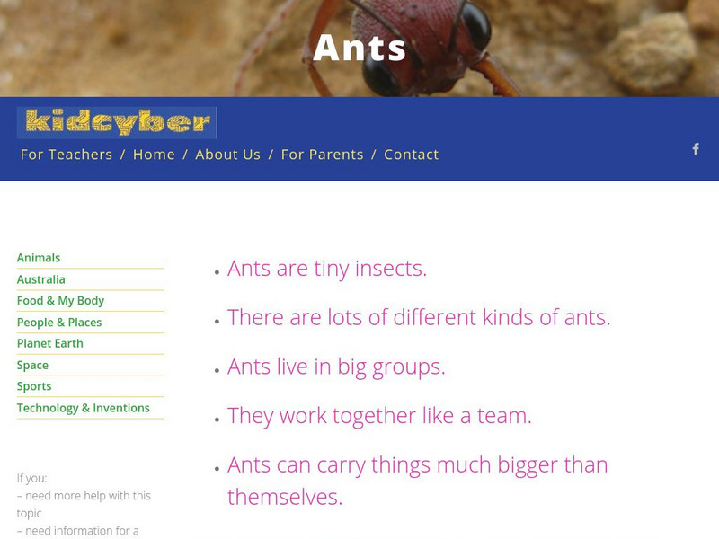 Kidcyber: Ants Handout Kidcyber: Ants Handout