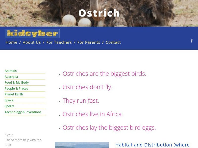 Kidcyber: Ostrich Handout Kidcyber: Ostrich Handout