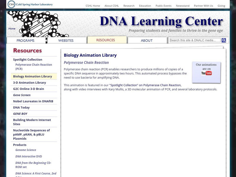 Dolan Dna Learning Center: Polymerase Chain Reaction Interactive Dolan Dna Learning Center: Polymerase Chain Reaction Interactive