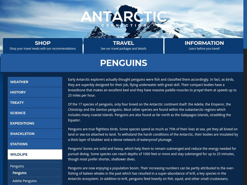 Antarctic Connection: Penguins Handout Antarctic Connection: Penguins Handout