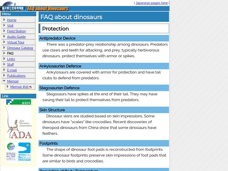 Fukui Prefectural Dinosaur Museum (Japan): Faq About Dinosaurs Handout