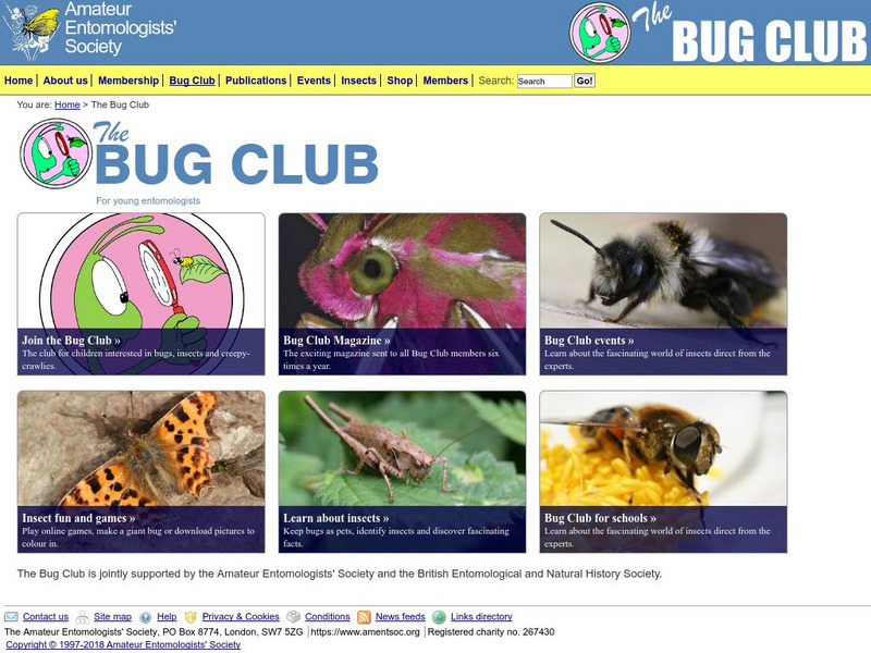 The Bug Club: Bug Pets Website The Bug Club: Bug Pets Website