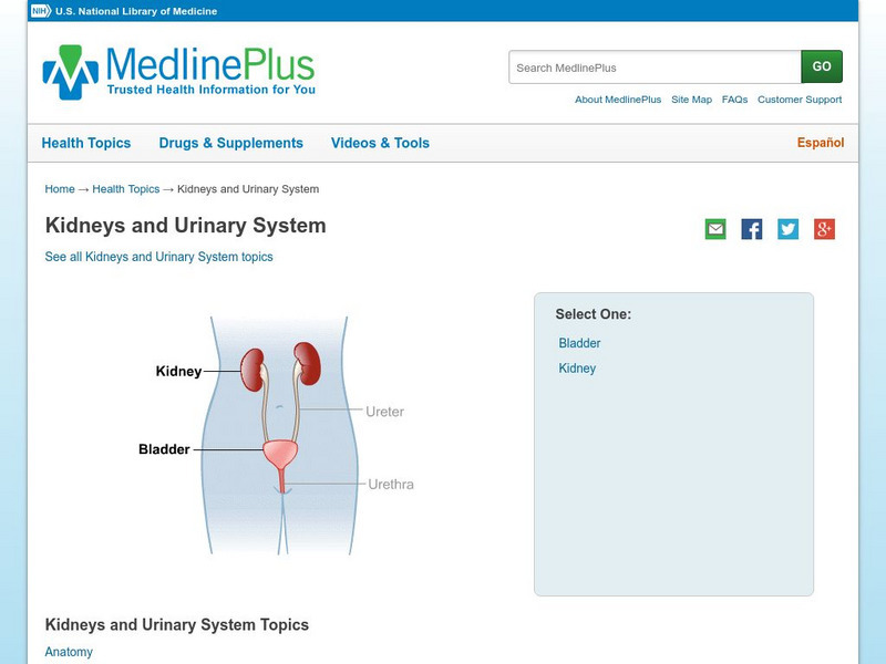 Medline Plus: Kidneys and Urinary System Topics Handout Medline Plus: Kidneys and Urinary System Topics Handout