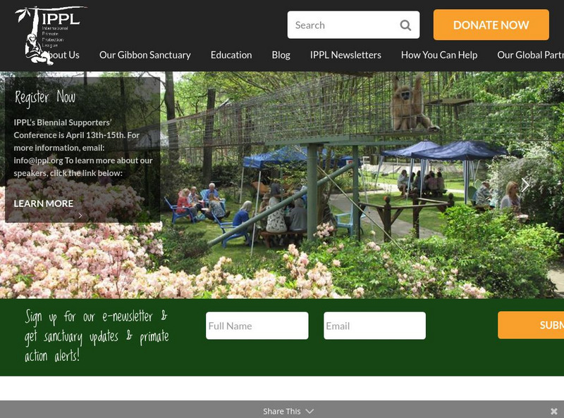 International Primate Protection League Website International Primate Protection League Website