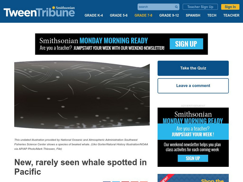 Tween Tribune: Week of 8 8 16: New, Rarely Seen Whale Spotted in Pacific Article Tween Tribune: Week of 8 8 16: New, Rarely Seen Whale Spotted in Pacific Article