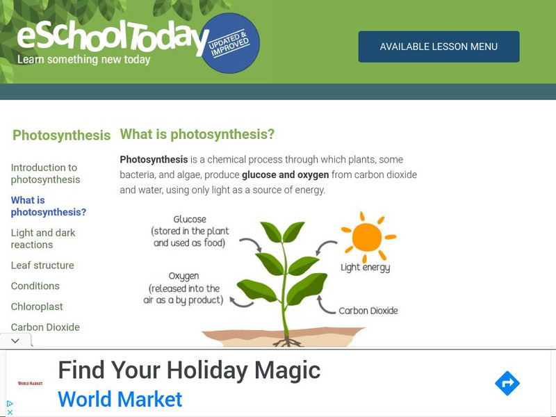 E School Today: Photosynthesis Handout E School Today: Photosynthesis Handout