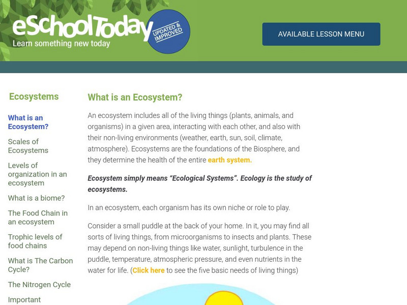 E School Today: What Is an Ecosystem? Handout E School Today: What Is an Ecosystem? Handout