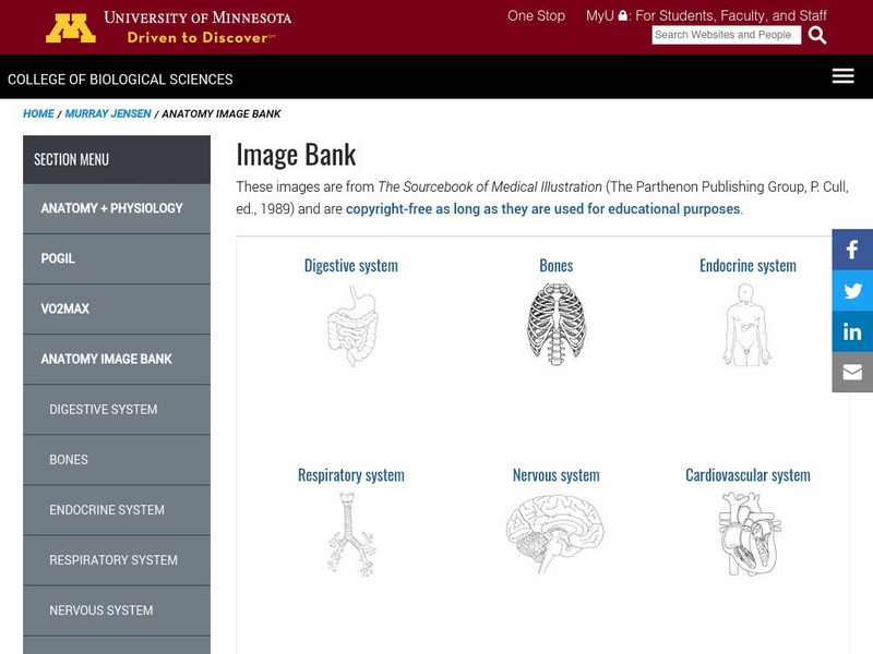 University of Minnesota: Anatomy Image Bank Graphic University of Minnesota: Anatomy Image Bank Graphic