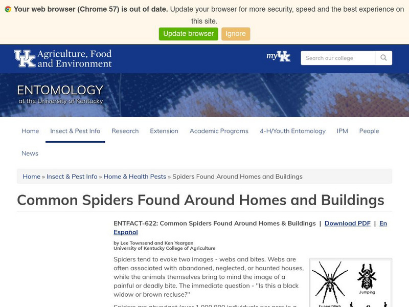 University of Kentucky: Common Spiders Handout University of Kentucky: Common Spiders Handout
