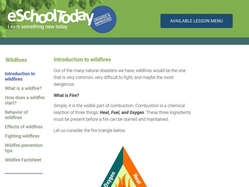 E School Today: Your Cool Facts and Tips on Wildfires Handout E School Today: Your Cool Facts and Tips on Wildfires Handout