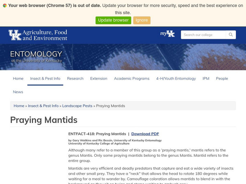 Uk: Praying Mantids Handout Uk: Praying Mantids Handout