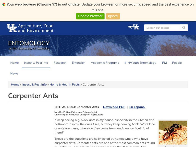 Uk: Carpenter Ants Handout