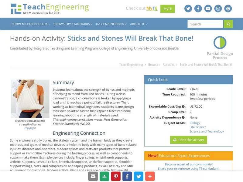 Teach Engineering: Sticks and Stones Will Break That Bone! Activity Teach Engineering: Sticks and Stones Will Break That Bone! Activity