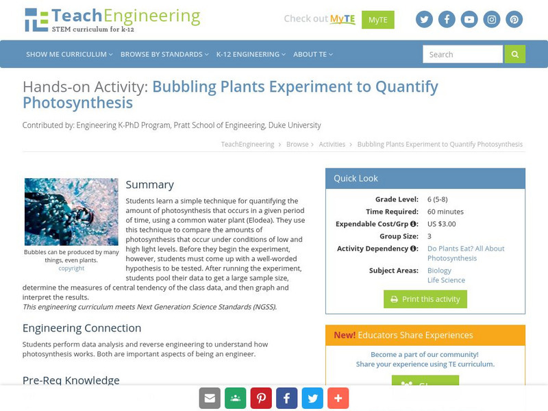 Teach Engineering: Bubbling Plants Activity Teach Engineering: Bubbling Plants Activity