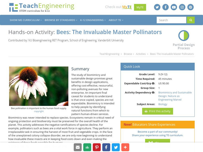Teach Engineering: Bees Are Master Pollinators Activity Teach Engineering: Bees Are Master Pollinators Activity