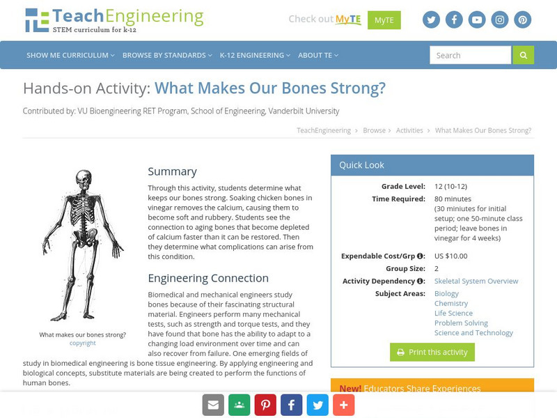 Teach Engineering: What Makes Our Bones Strong? Activity