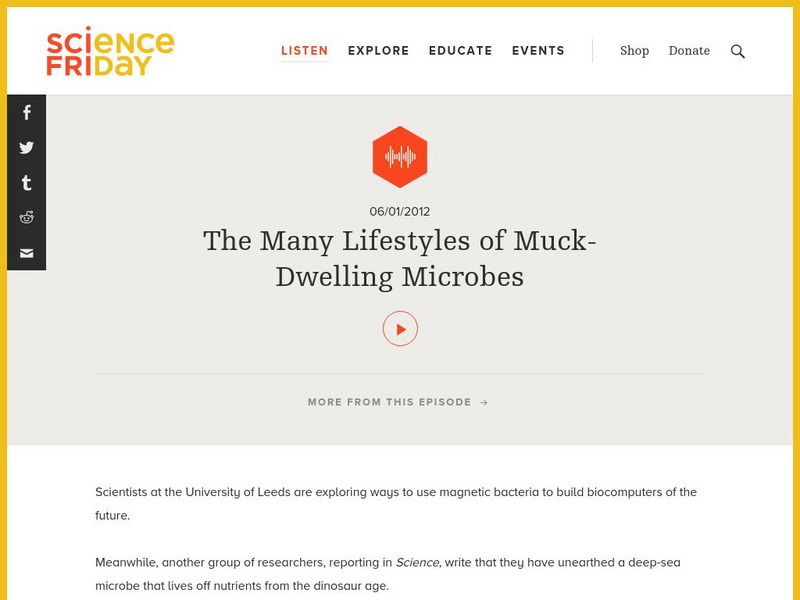 Science Friday: The Many Lifestyles of Muck Dwelling Microbes Audio