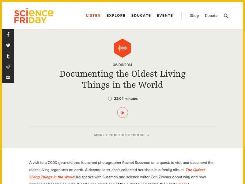 Science Friday: Documenting the Oldest Living Things in the World Audio Science Friday: Documenting the Oldest Living Things in the World Audio