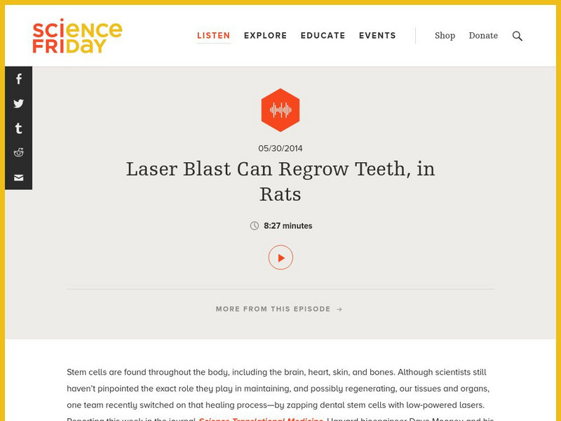 Science Friday: Laser Blast Can Regrow Teeth, in Rats Audio Science Friday: Laser Blast Can Regrow Teeth, in Rats Audio