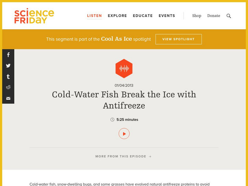 Science Friday: Cold Water Fish Break the Ice With Antifreeze Audio Science Friday: Cold Water Fish Break the Ice With Antifreeze Audio