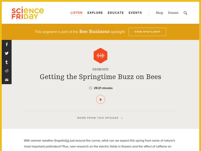 Science Friday: Getting the Springtime Buzz on Bees Audio