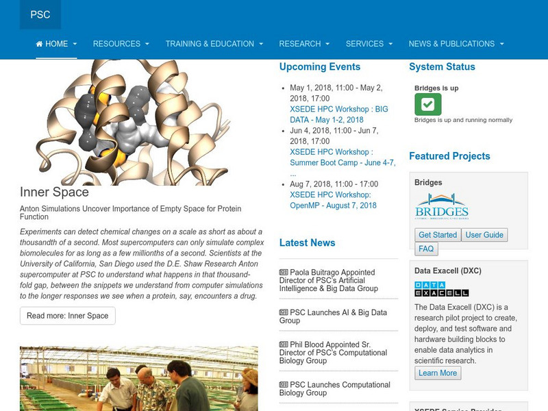 Understanding the Brain: Watching the Brain in Action Handout Understanding the Brain: Watching the Brain in Action Handout