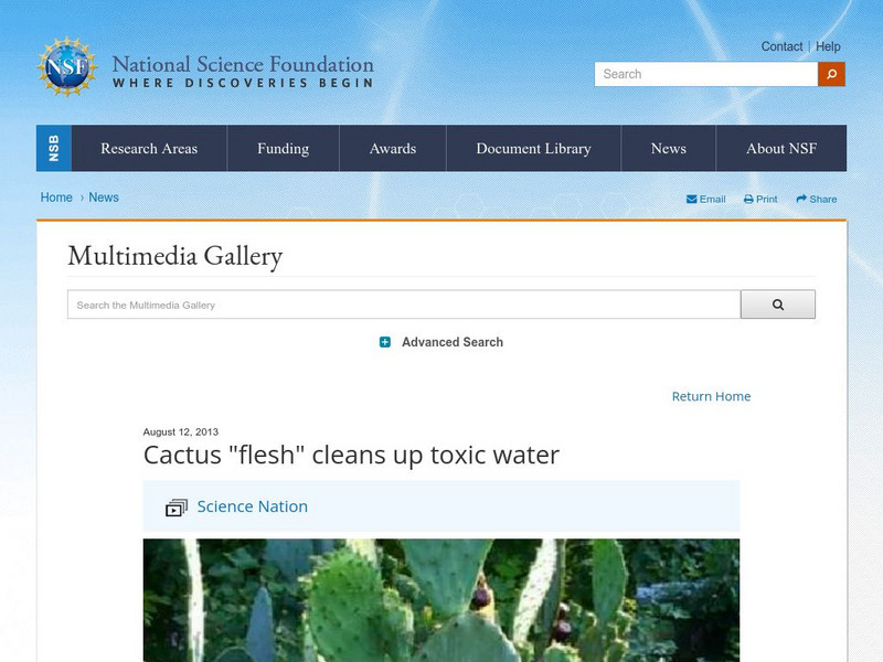 National Science Foundation: Cactus 'Flesh' Cleans Up Toxic Water Instructional Video National Science Foundation: Cactus 'Flesh' Cleans Up Toxic Water Instructional Video