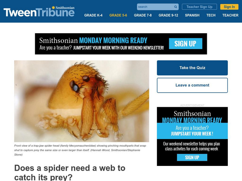 Tween Tribune: Does a Spider Need a Web to Catch Its Prey? Article Tween Tribune: Does a Spider Need a Web to Catch Its Prey? Article