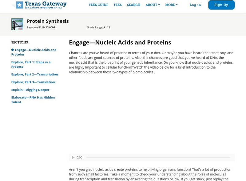 Texas Gateway: Protein Synthesis Unit Plan Texas Gateway: Protein Synthesis Unit Plan
