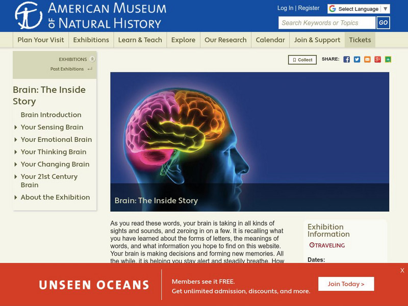 American Museum of Natural History: Brain: The Inside Story Activity American Museum of Natural History: Brain: The Inside Story Activity