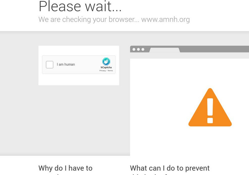 American Museum of Natural History: Creature Feature Interactive American Museum of Natural History: Creature Feature Interactive