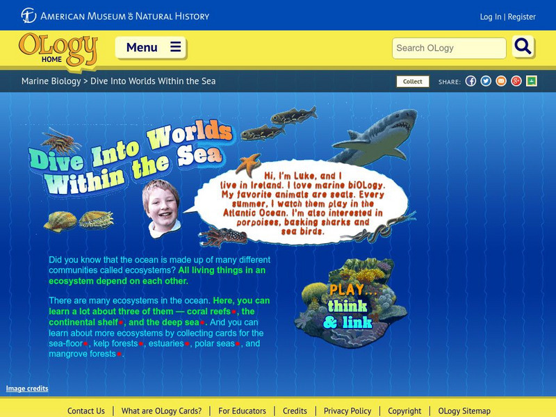 American Museum of Natural History: Dive Into Worlds Within the Sea Interactive American Museum of Natural History: Dive Into Worlds Within the Sea Interactive