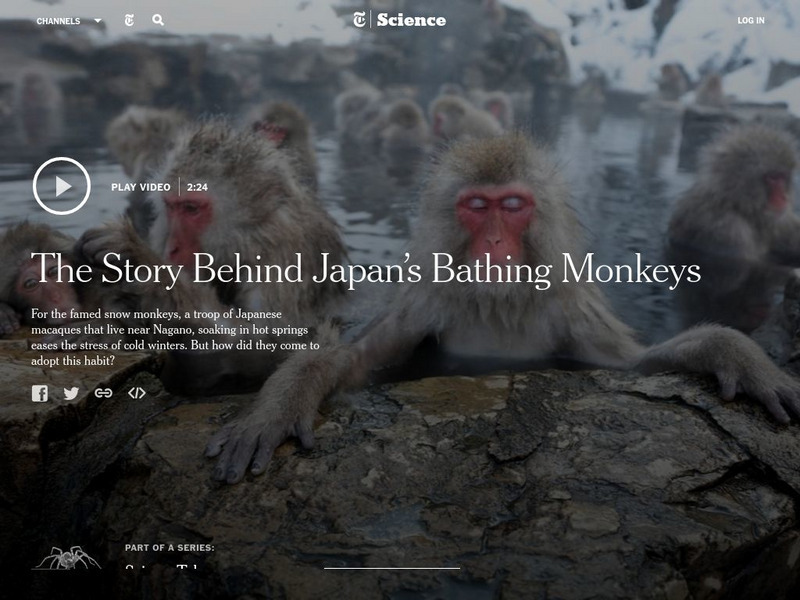 New York Times: Science Take Instructional Video