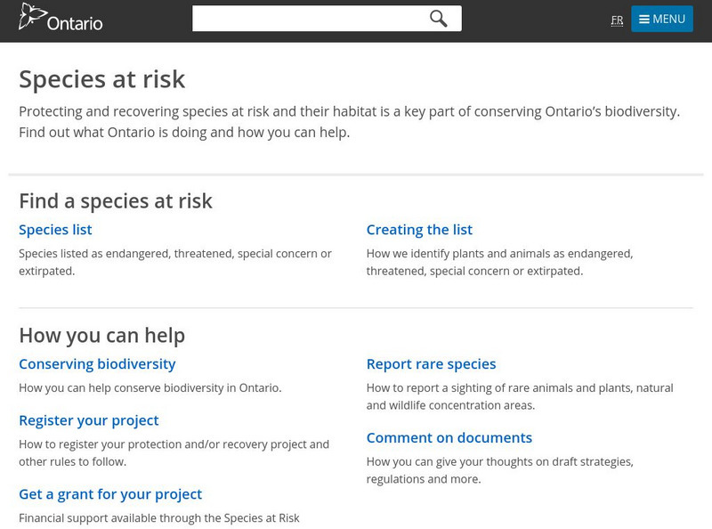Species at Risk in Ontario Activity