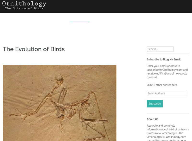Ornithology: The Evolution of Birds Handout Ornithology: The Evolution of Birds Handout