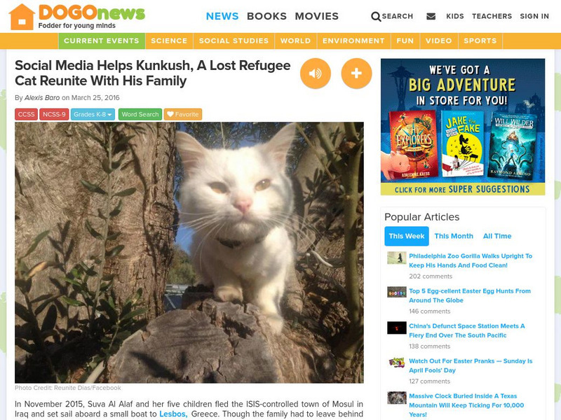 Dogo News: Social Media Helps Refugee Cat Reunite With Family Article Dogo News: Social Media Helps Refugee Cat Reunite With Family Article